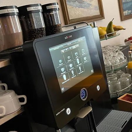 Du Glacier Boutique & Traditions Szálloda Fiesch